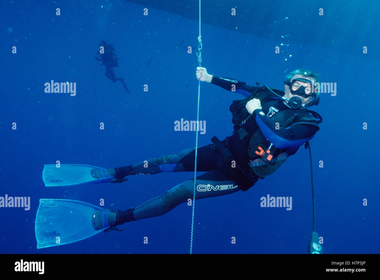 Flip Nicklin with diving group, Flower Garden Banks National Marine Sanctuary, Louisiana Stock