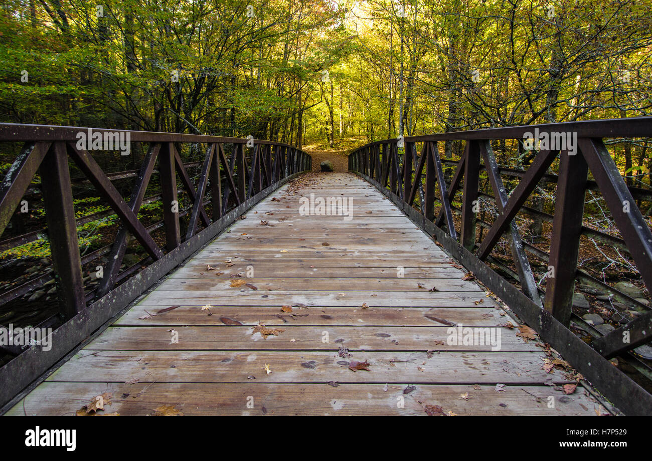 Great Smoky Mountain Hiking Trail. Footbridge along a trail in the Great Smoky Mountains with autumn foliage as the background. Stock Photo