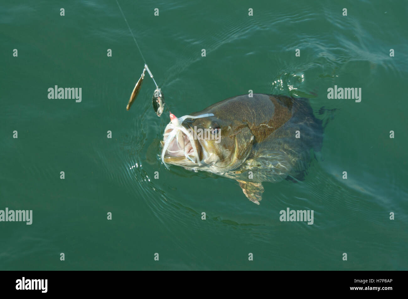 Smallmouth Bass fishing on the Columbia River near The Dalles, Oregon