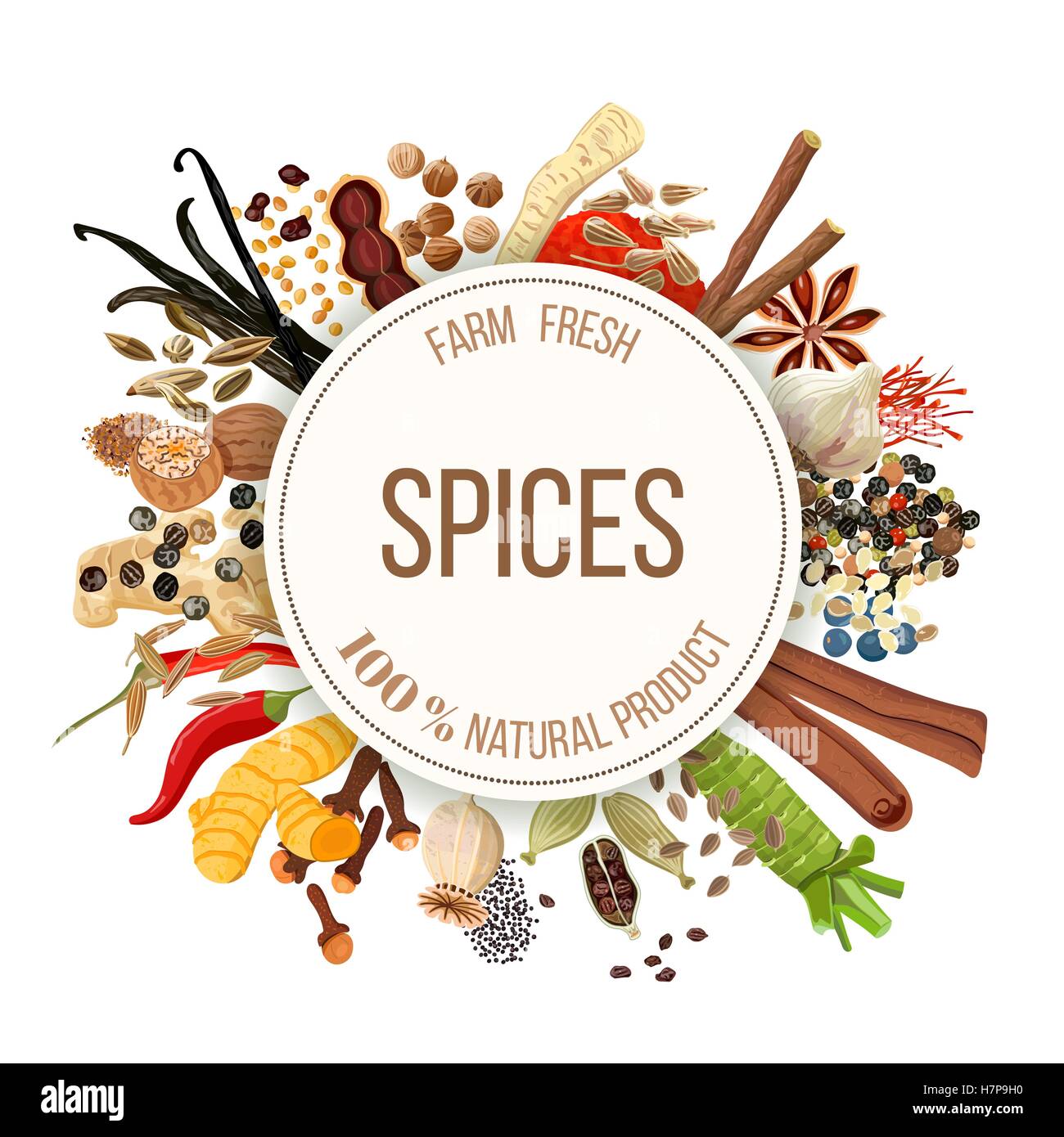 Culinary spices big set with round emblem. Bunch of cooking seasonings. For cosmetics, restaurant, store, market, natural health Stock Vector