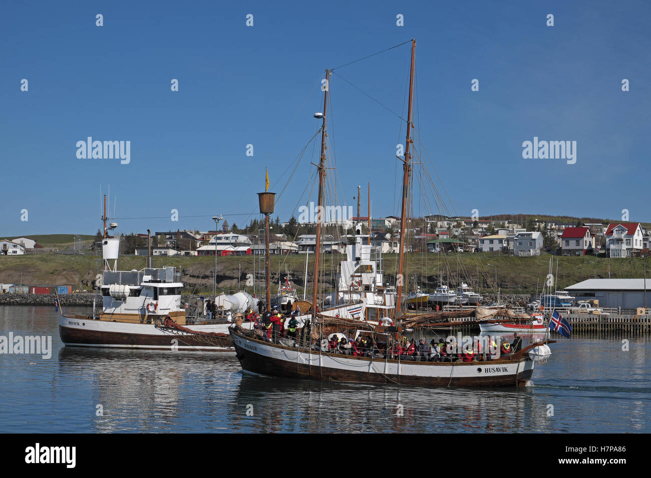 Whale safari boat hi-res stock photography and images - Alamy
