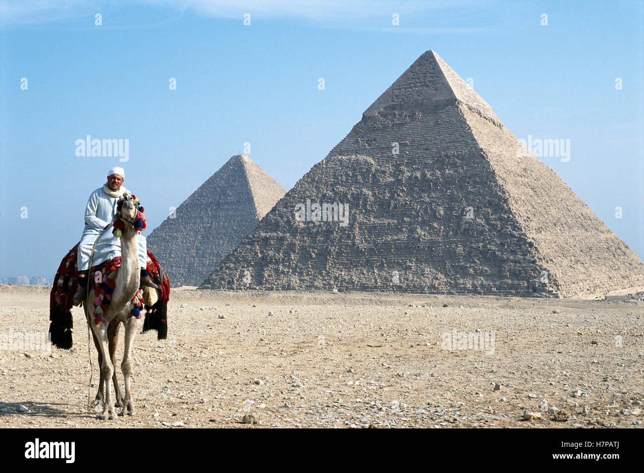 Camel and rider in front of the Pyramids at Giza, Cairo, Egypt Stock ...