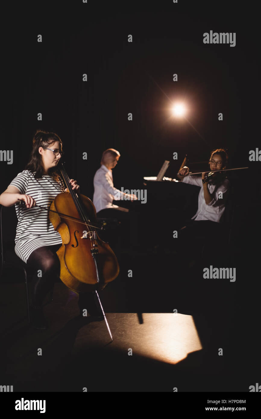 Bass violin hires stock photography and images Alamy