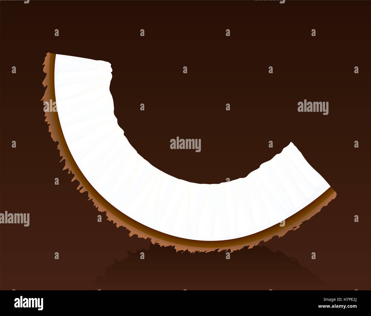 Coconut - single piece on brown background - vector illustration. Stock Photo