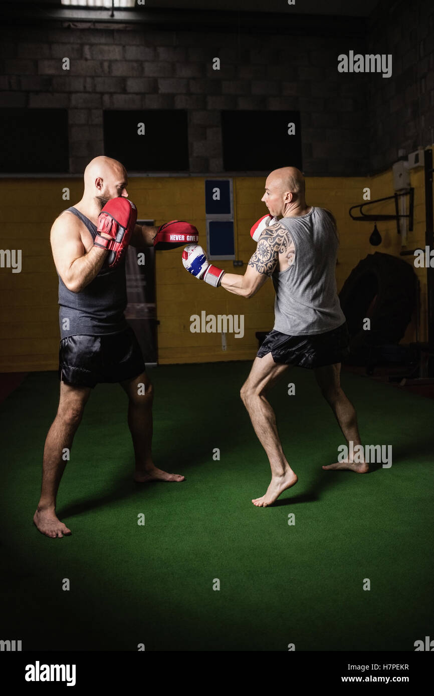 Boxers practicing boxing in the fitness studio Stock Photo Alamy