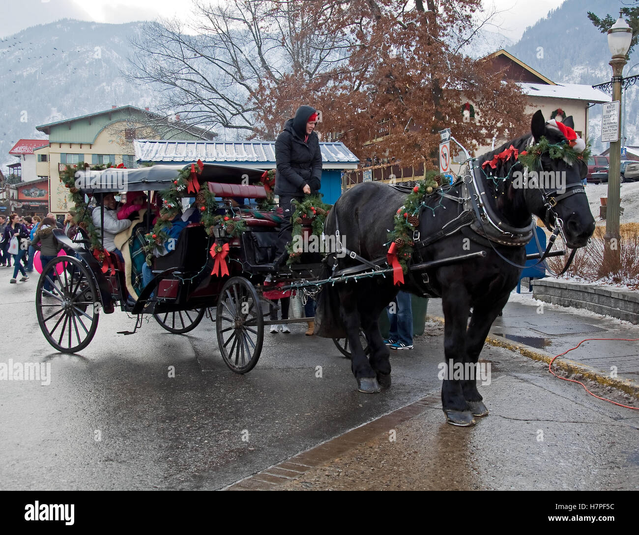 This is a black horse is pulling a carriage of people during Christmas ...
