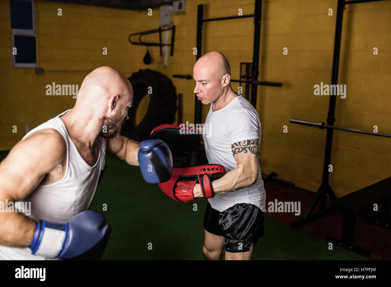 Boxers practicing boxing in the fitness studio Stock Photo Alamy