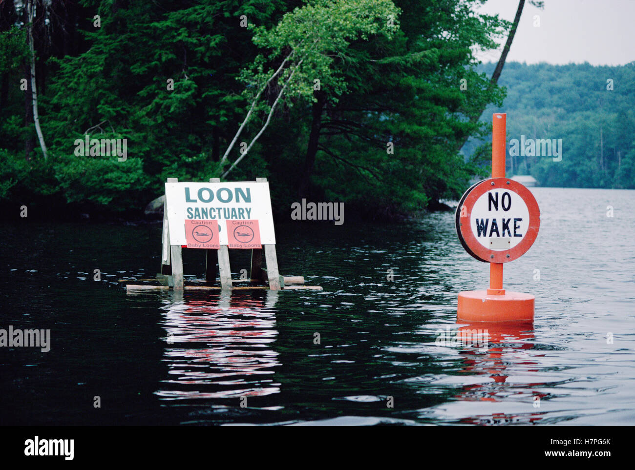 Floating signs set by the Loon Preservation Committee establish boundaries  around nesting loons, New Hampshire Stock Photo - Alamy