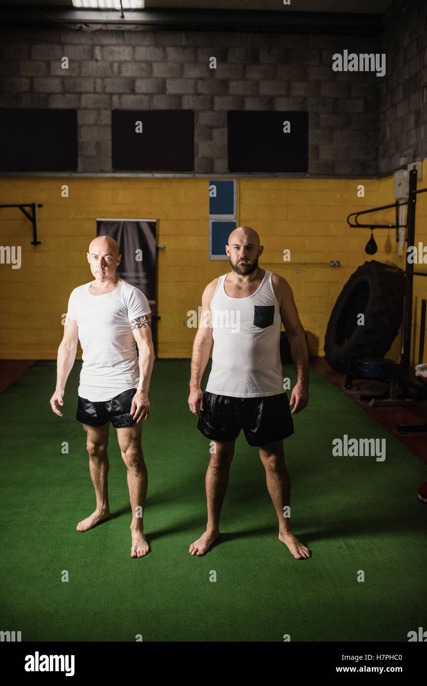 Portrait of two boxer standing Stock Photo - Alamy