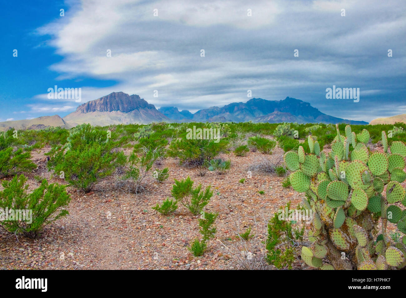 Chisos Mountains range rise above the floor of Chihuahuan Desert in Big Bend National Park Texas Stock Photo