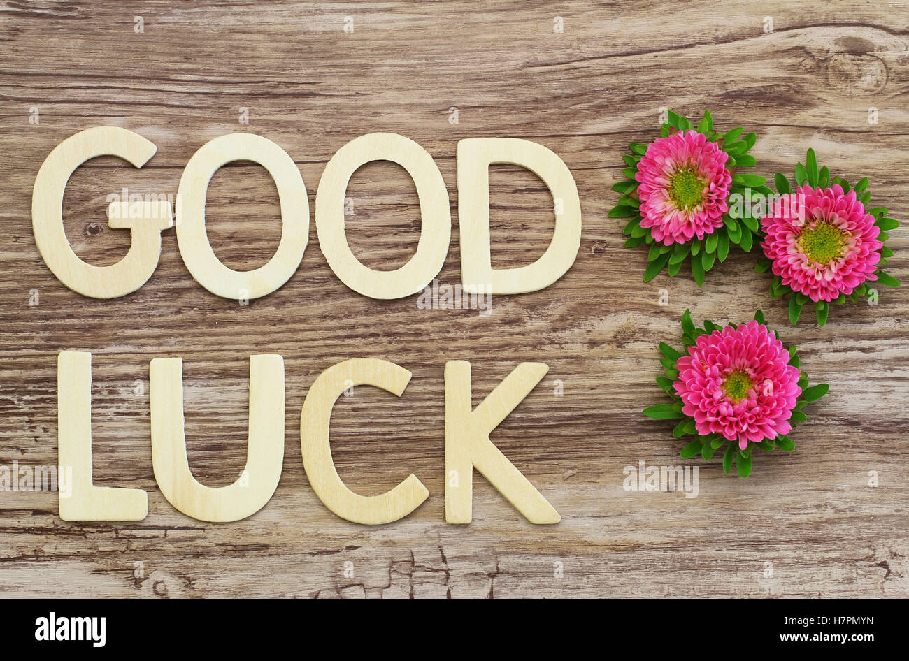Good luck written with wooden letters and pink daisies Stock Photo Alamy
