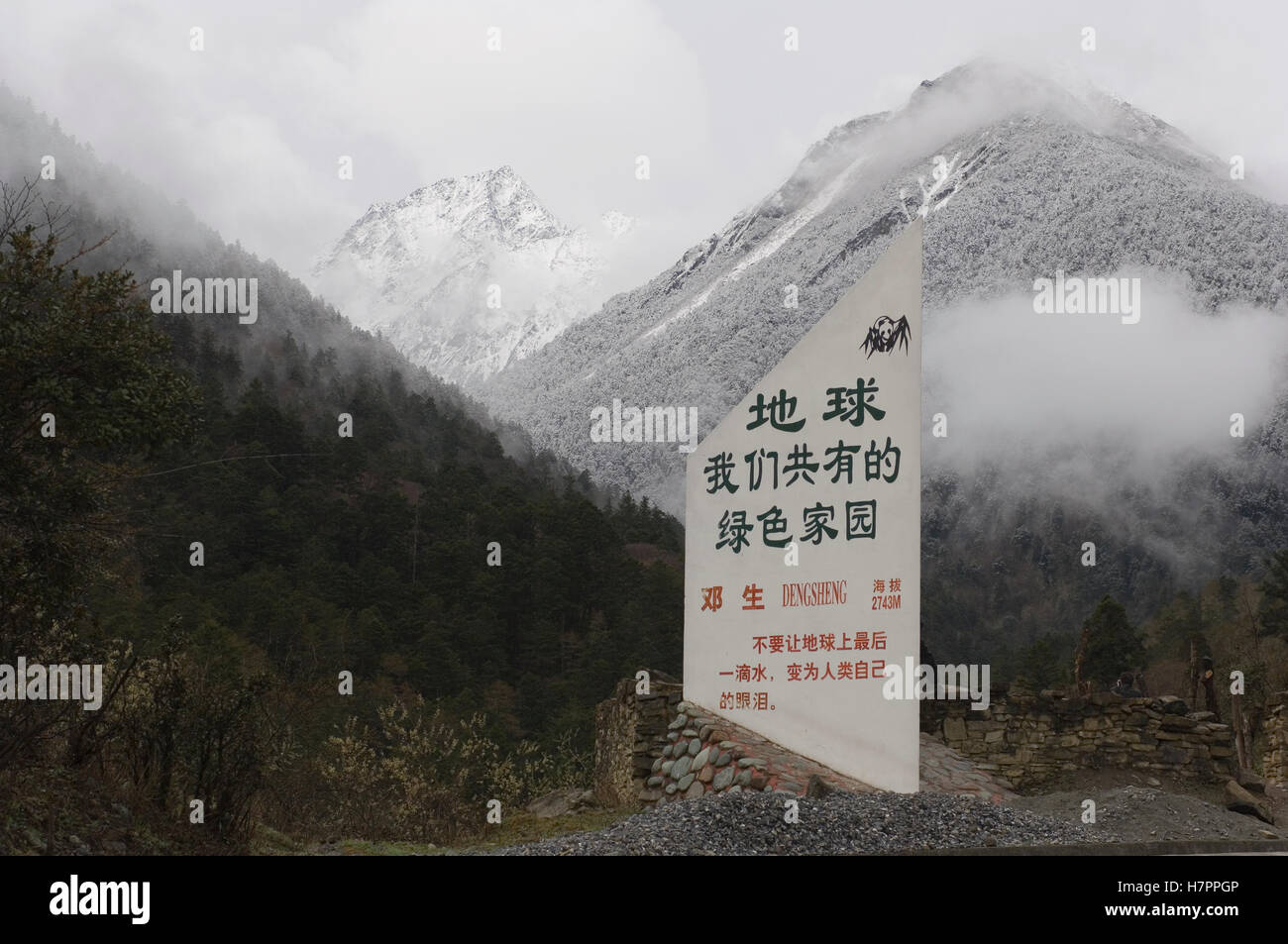 Giant Panda (Ailuropoda melanoleuca) release site for Xiang Xiang