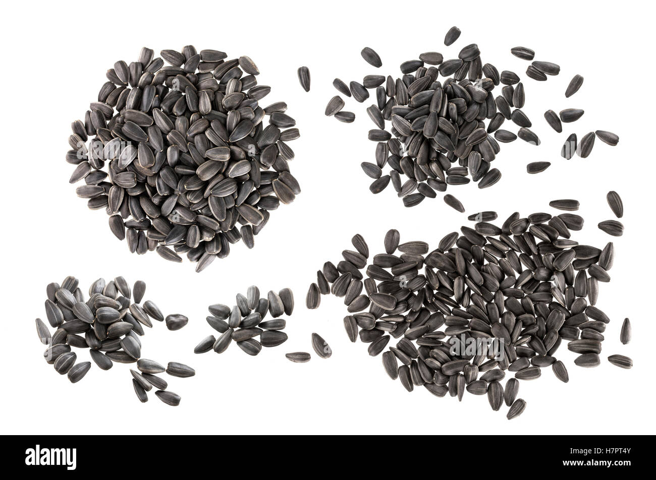 Black sunflower seeds isolated on white background Stock Photo Alamy