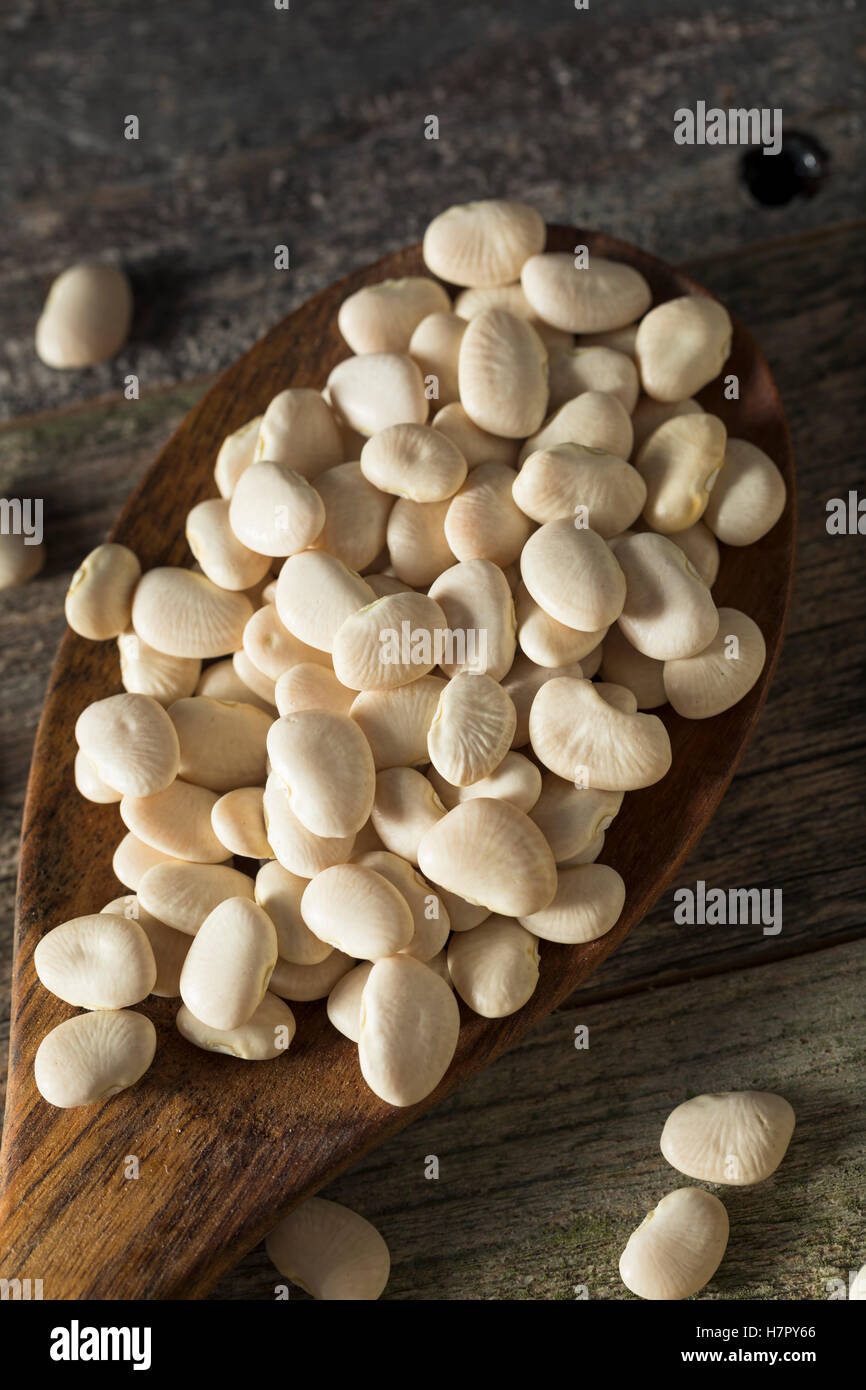 Dried White Organic Baby Lime Beans Ready for Cooking Stock Photo