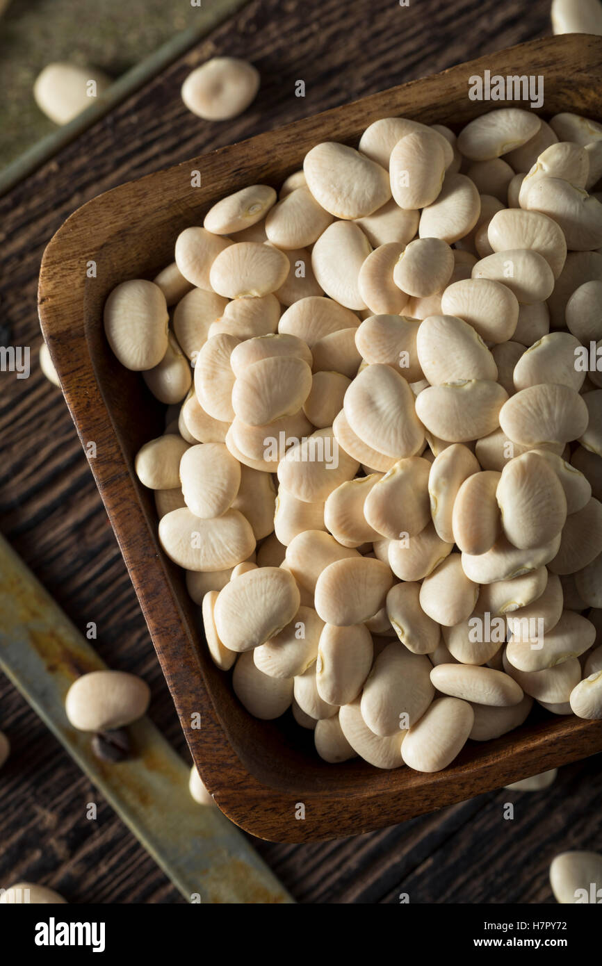 Dried White Organic Baby Lime Beans Ready for Cooking Stock Photo