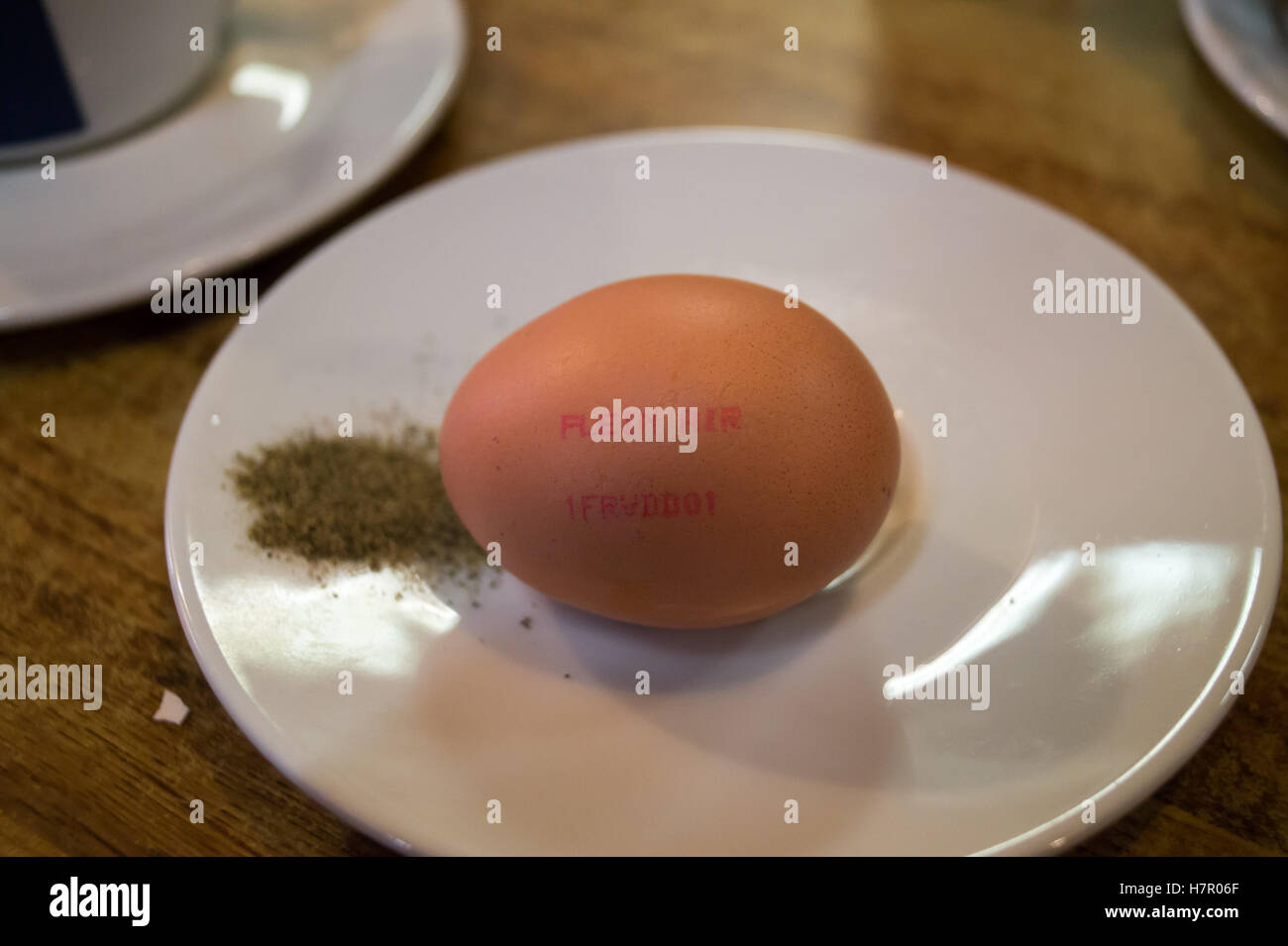 A French free-range egg on a plate with some black pepper, Toulouse, Haute-Garonne, Occitanie, France Stock Photo