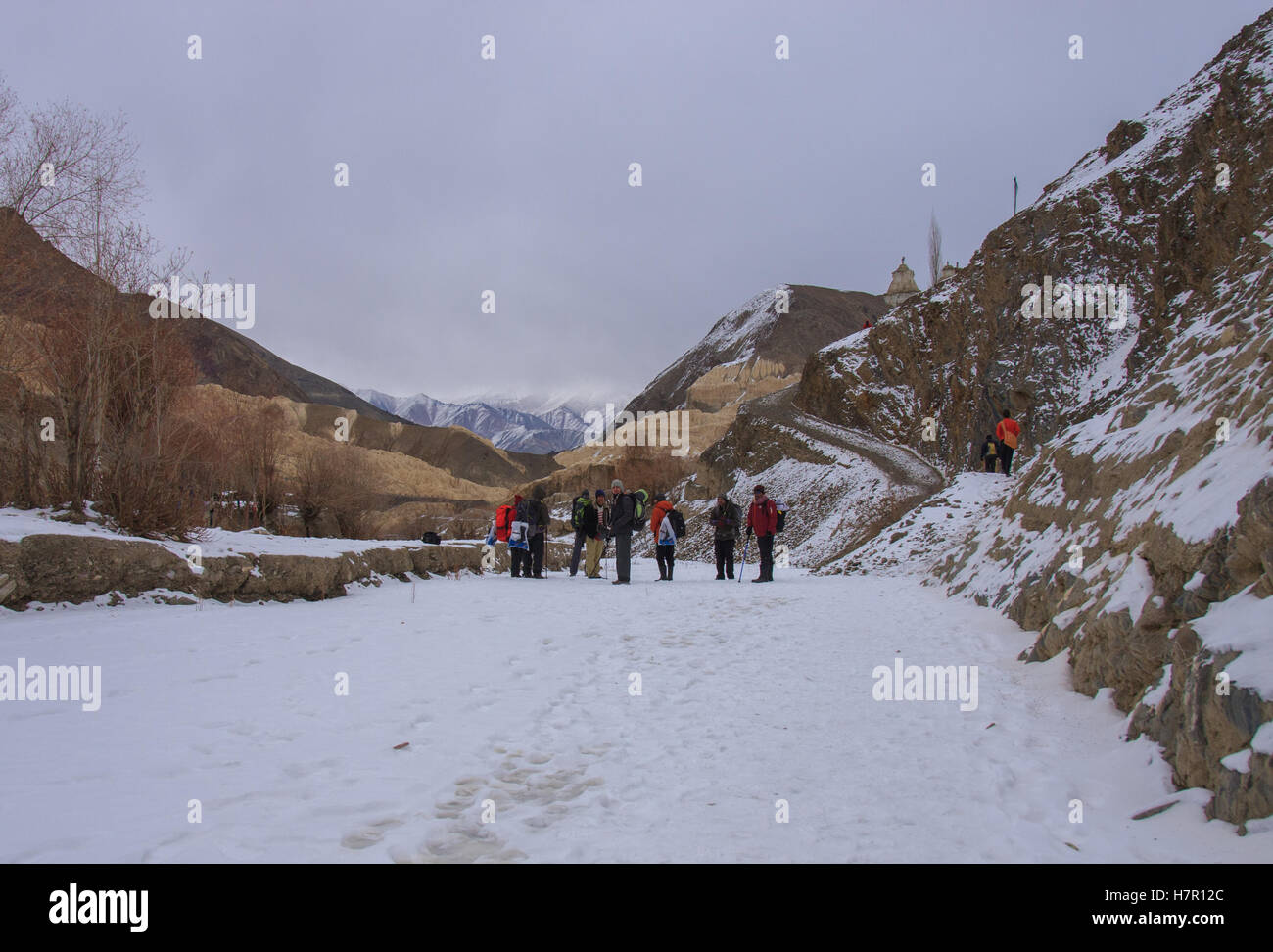 Ladakh Winter Trekking Stock Photo