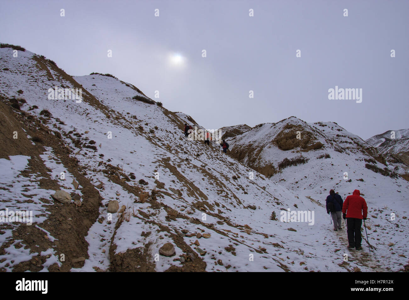 Ladakh Winter Trekking Stock Photo