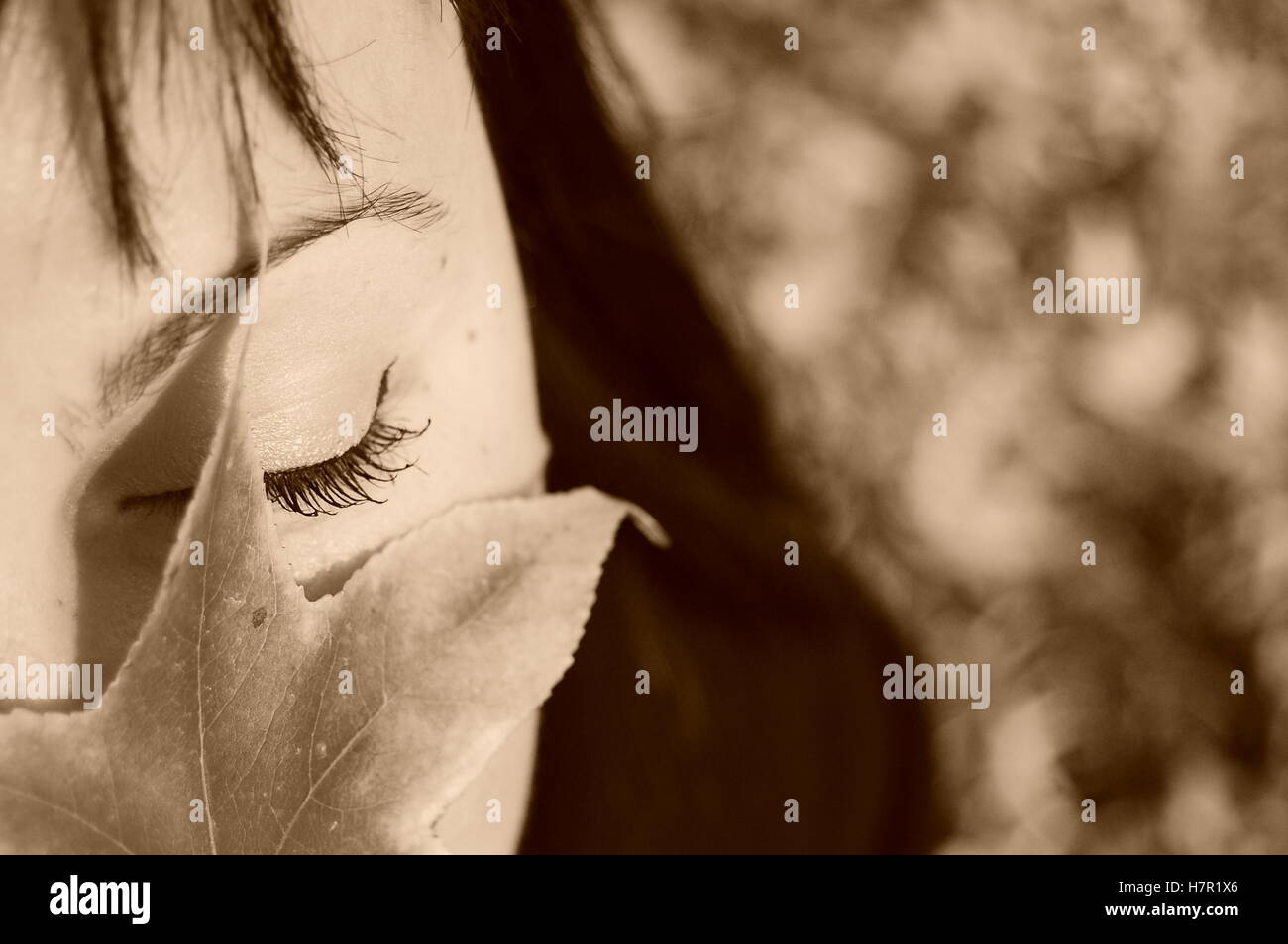 Sepia eye lash picture with autumn leaf Stock Photo