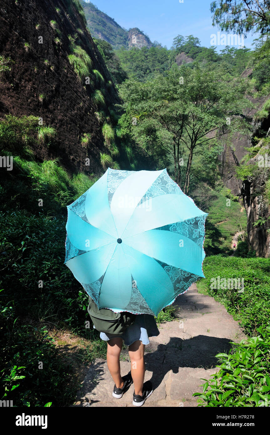A chinese woman holding an umbrella as she walks a path through the ...