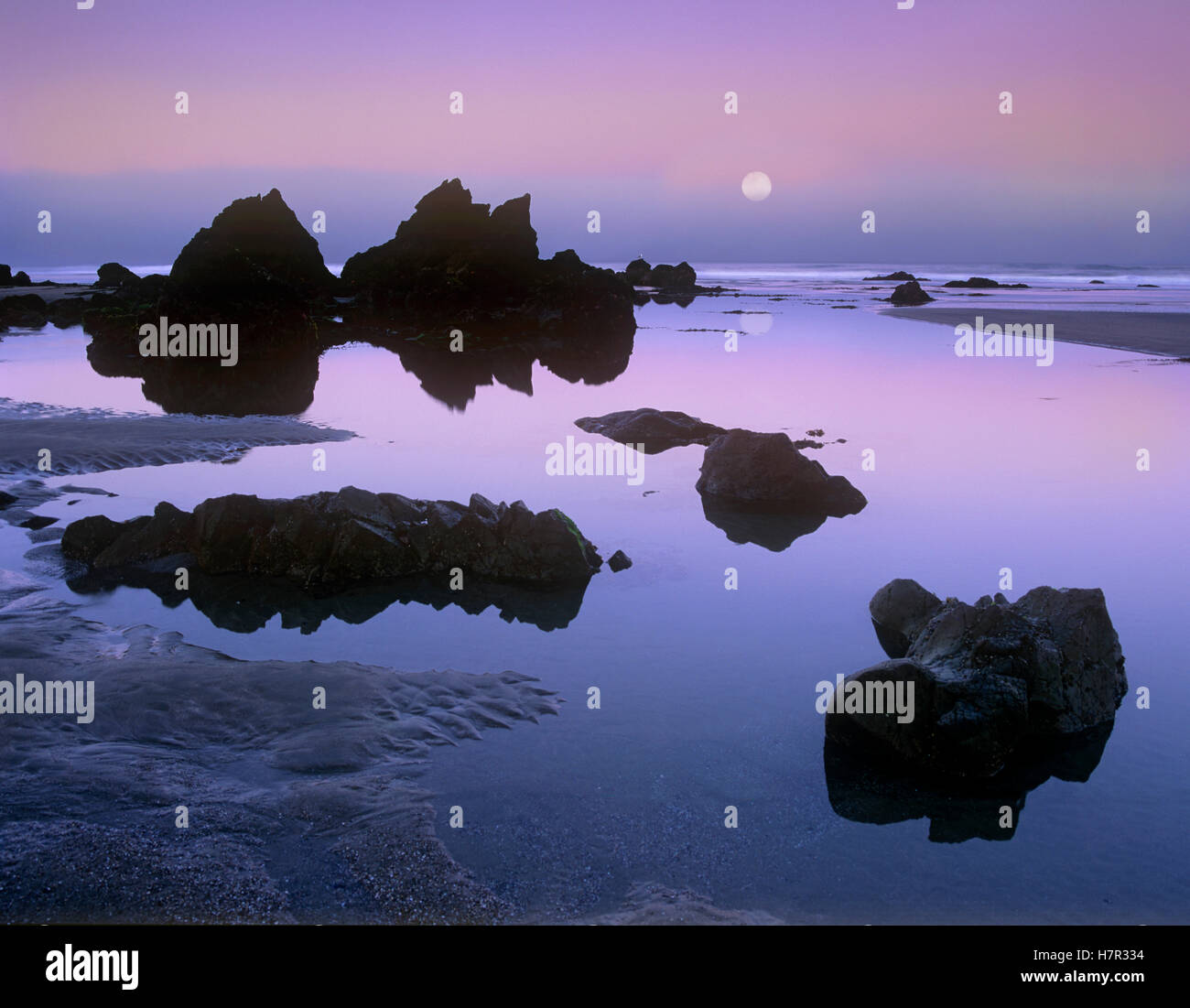 Rocks at dusk along Bandon Beach with rising moon, Oregon Stock Photo ...