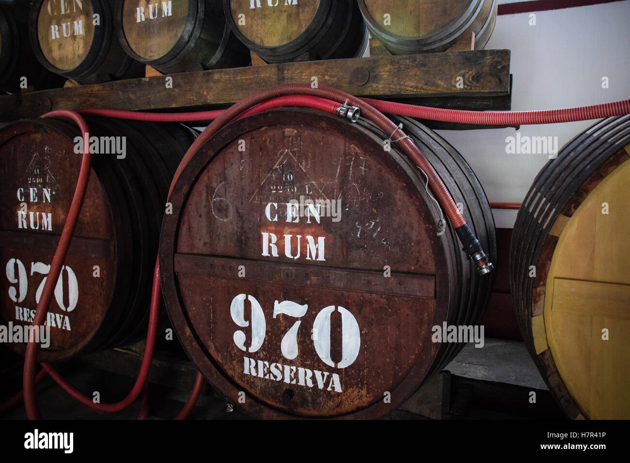 Rum barrel in Branca distillery Porto do Cruz, Madeira Stock Photo