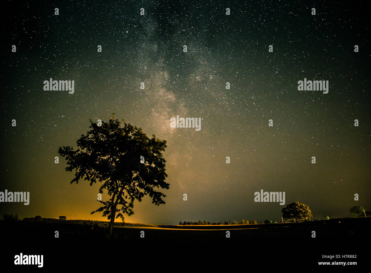 The Milky Way above a lone tree Stock Photo - Alamy