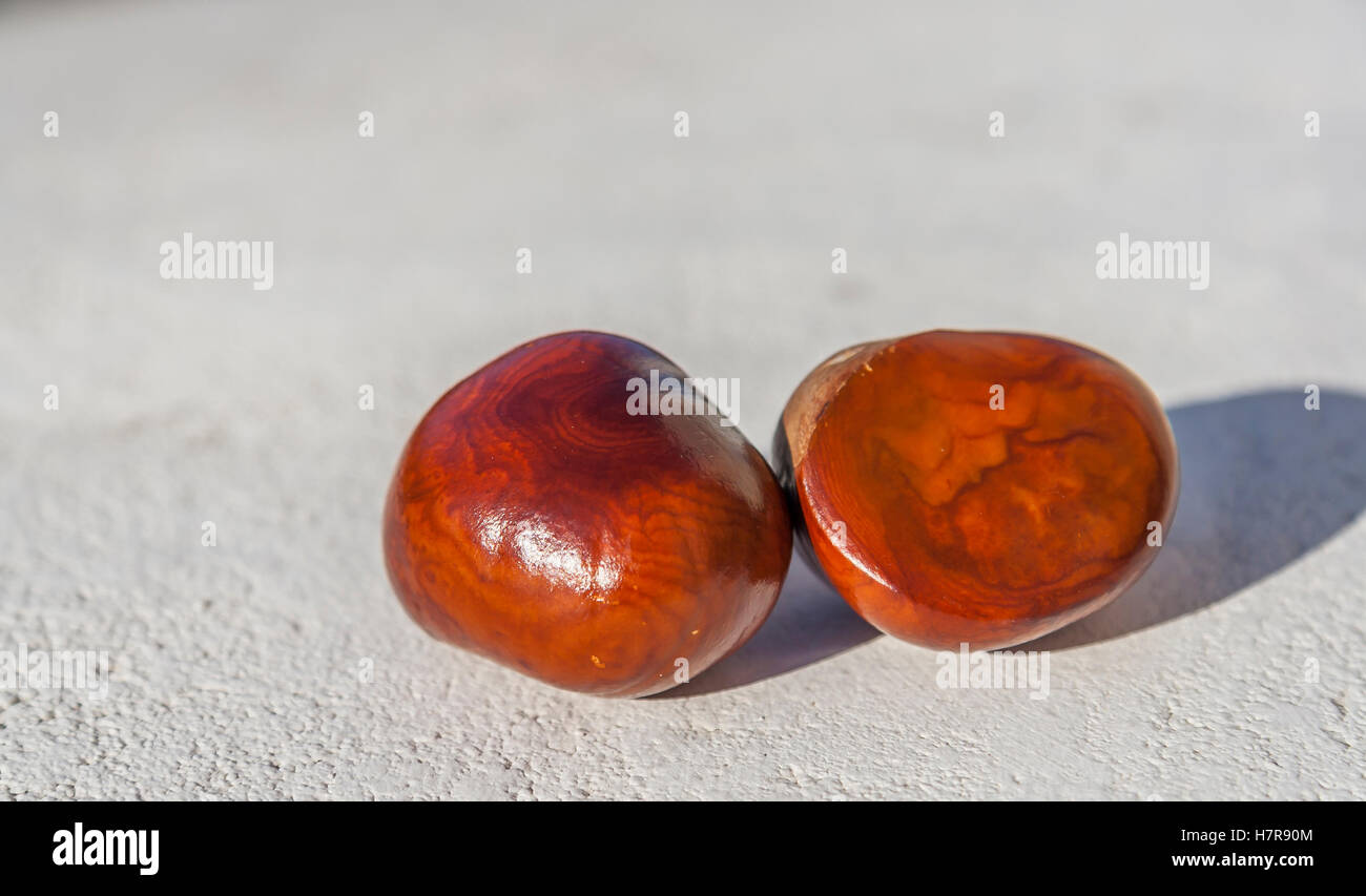 Two Autumn Chestnuts Stock Photo