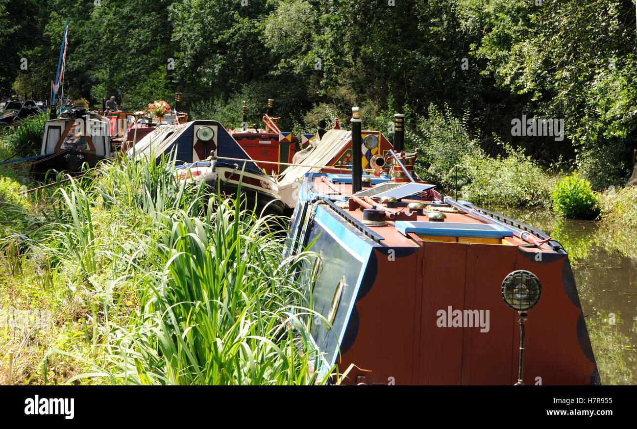 Long boats moored on the Basingstoke canal, Woking, Surrey. UK Stock Photo