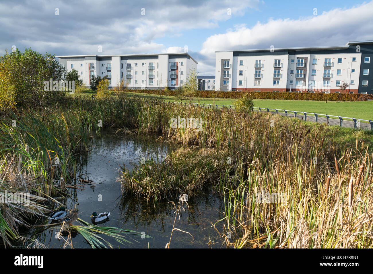 Braehead village hires stock photography and images Alamy
