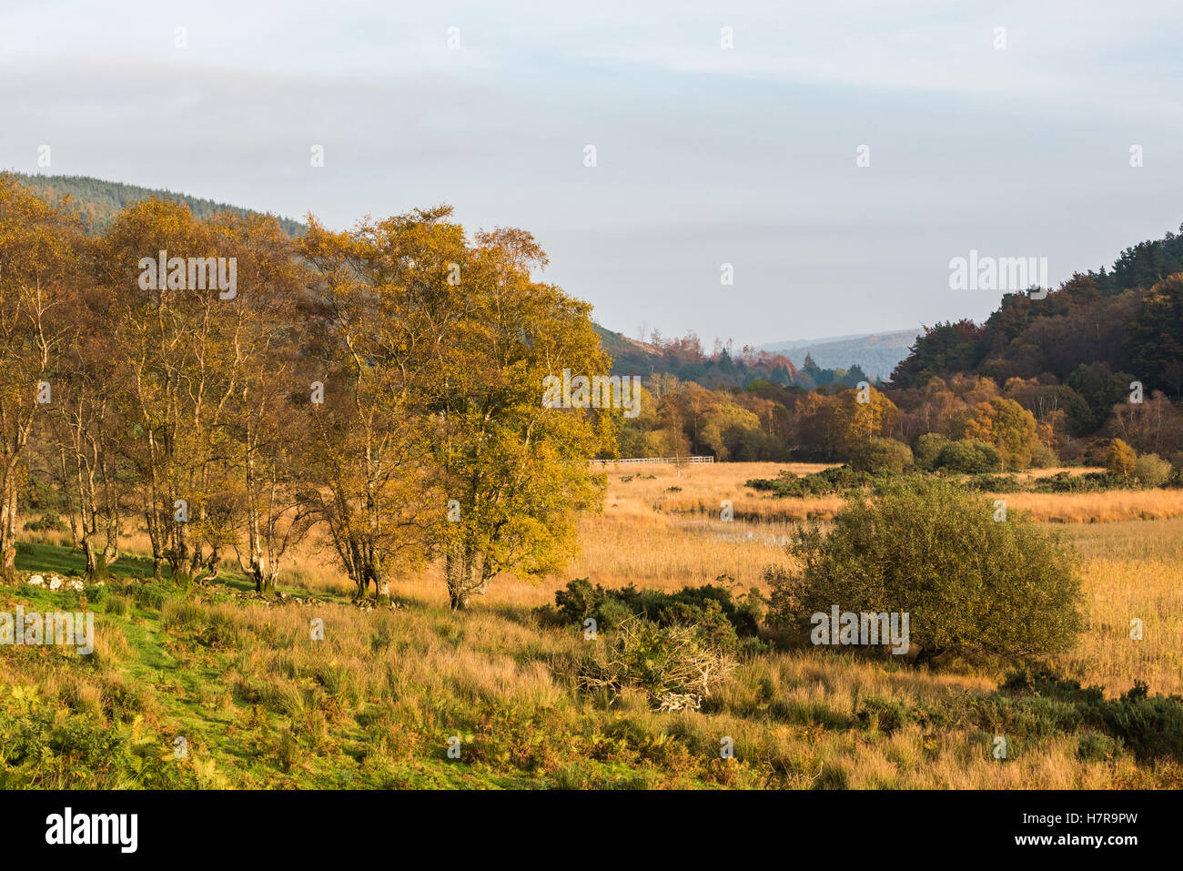 Glendalough, Ireland Stock Photo Alamy