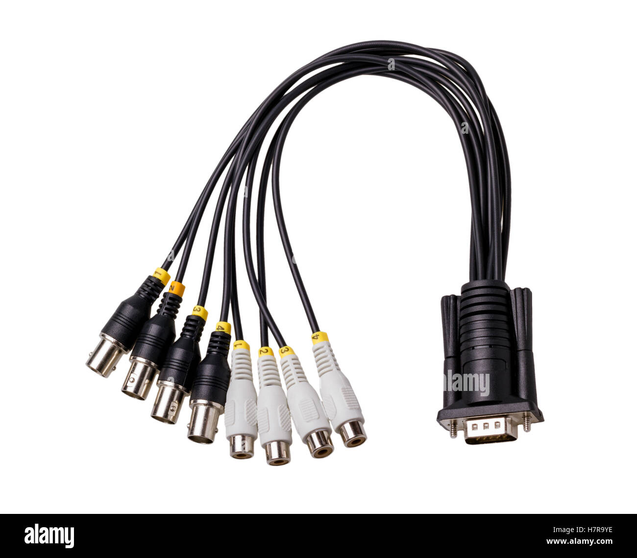 Electronic collection Audio Video connector isolated on white background Stock Photo Alamy