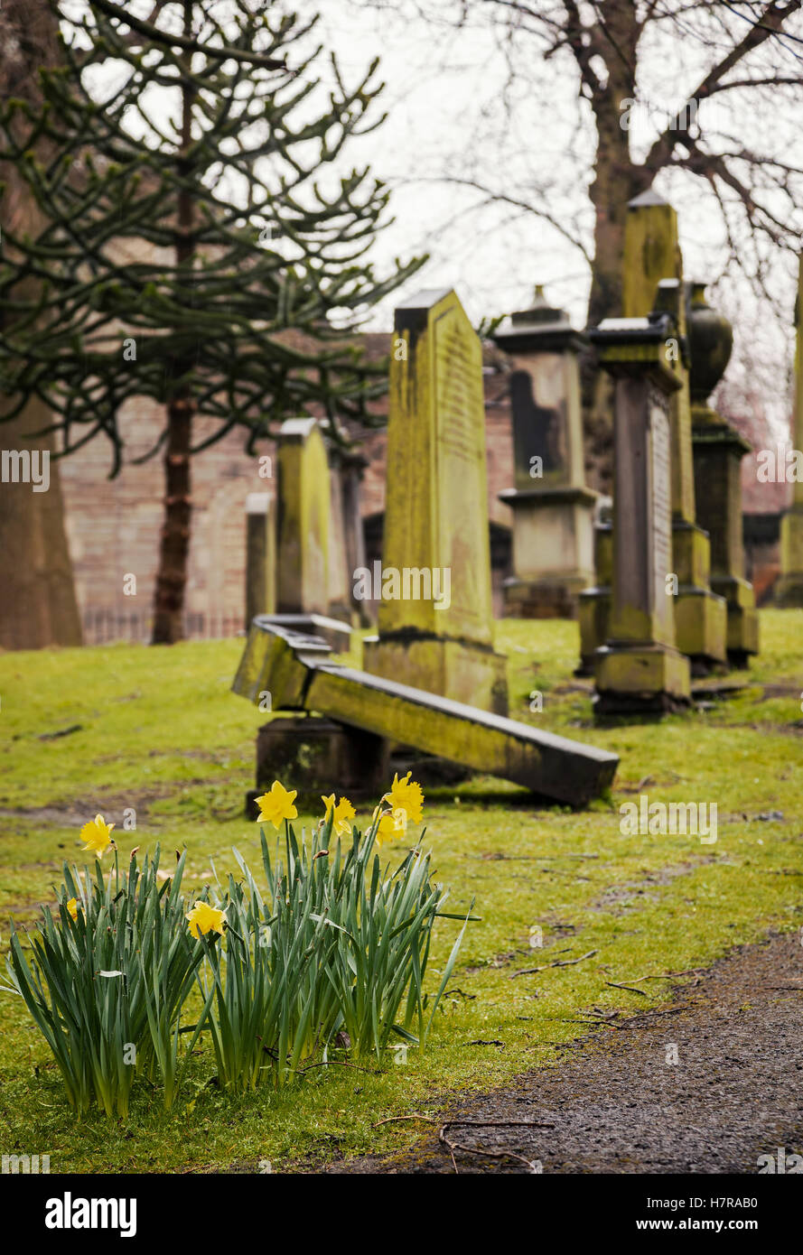 Image of old headstones in a graveyard. Edinburgh, Scotland. Stock Photo