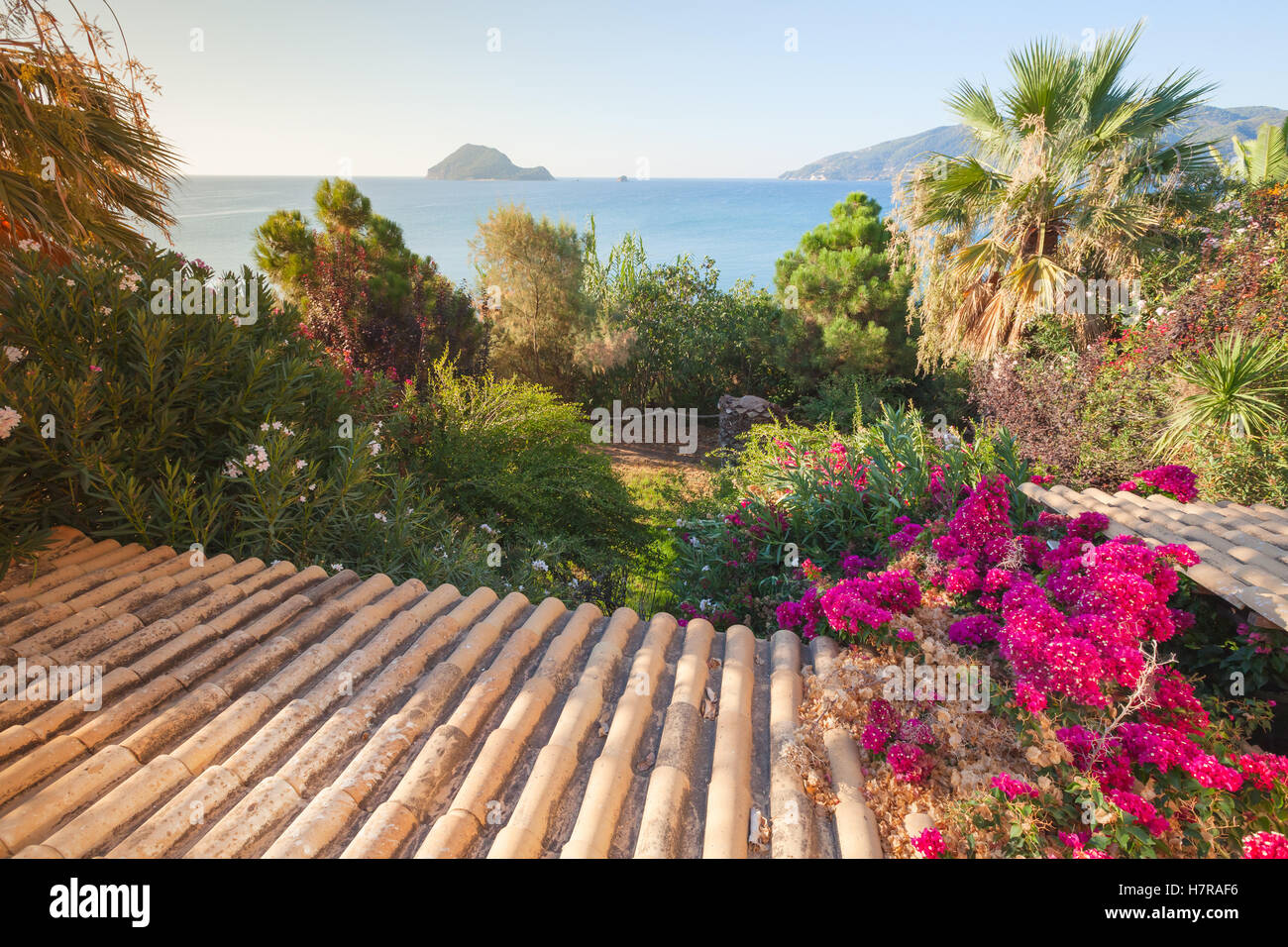 Summer landscape of Zakynthos island, Greece. Old tiling roof slope goes down in summer garden with bright red flowers and palm Stock Photo