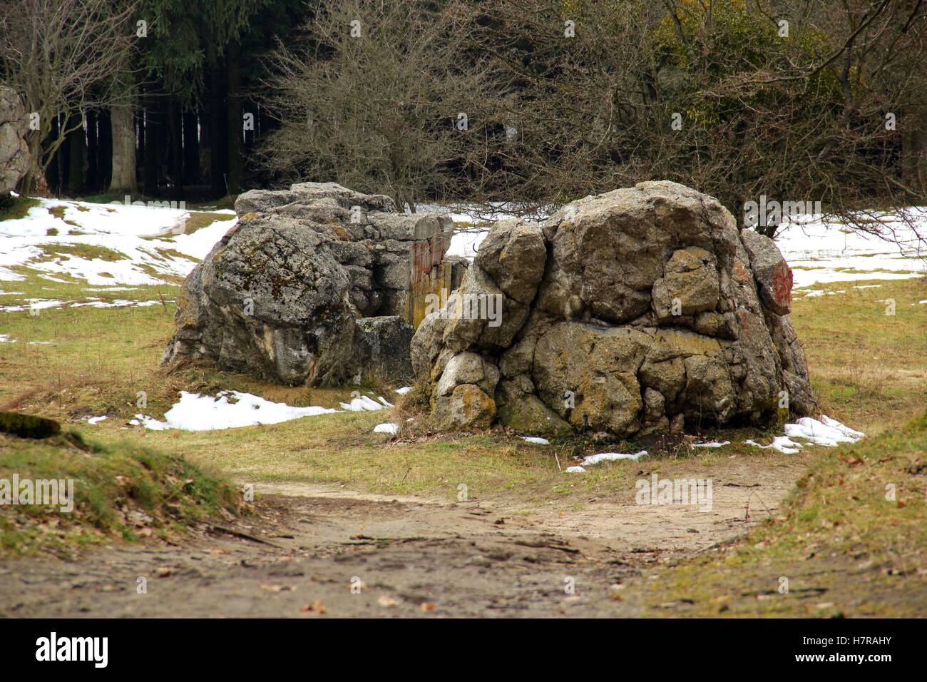 Wehrwolf in Vinnitsa, Ukraine. Hitler's bunker Stock Photo - Alamy