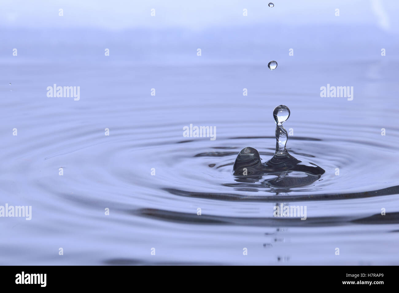 Water Drops Impacting Water Surface Stock Photo - Alamy