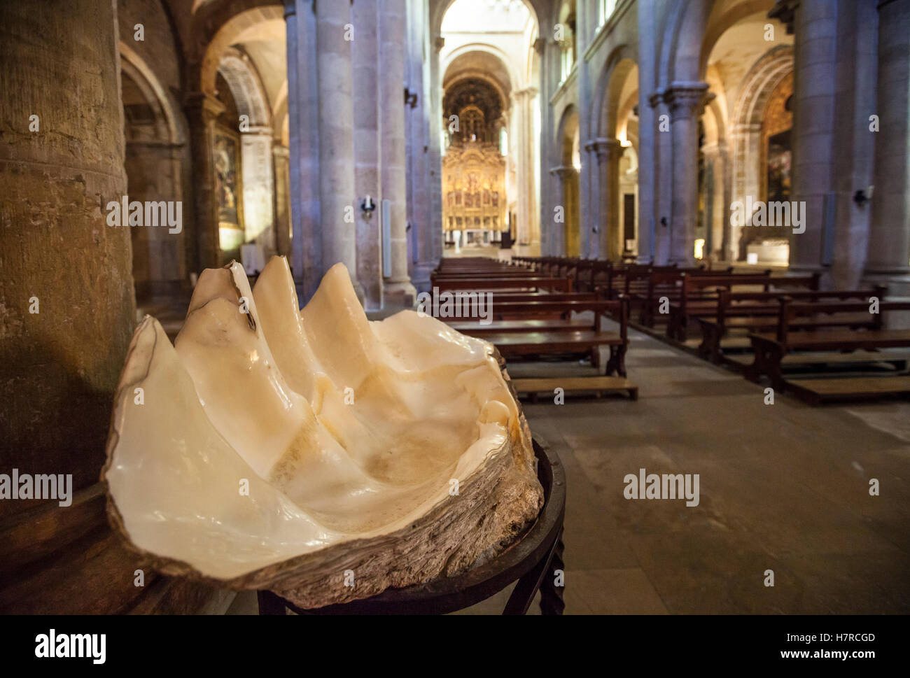 Huge shell in the Old Cathedral in Coimbra, Portugal, Europe Stock Photo