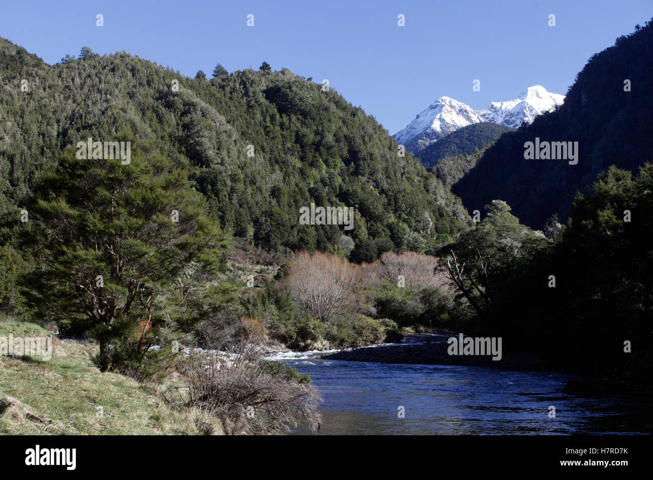 The Wangapeka River valley, Kahurangi National Park, New Zealand Stock Photo