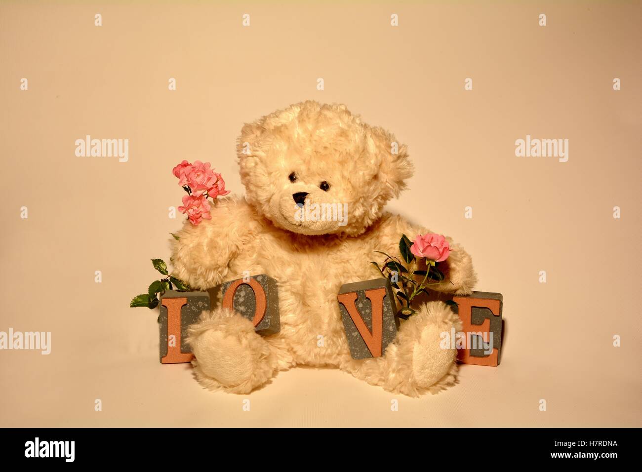 Gift Present Birthday Valentine I LOVE FREYA NEW Teddy Bear Cute Cuddly
