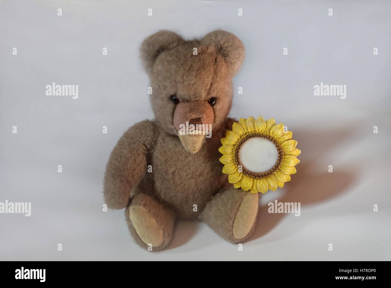 teddy bear holding a sunflower