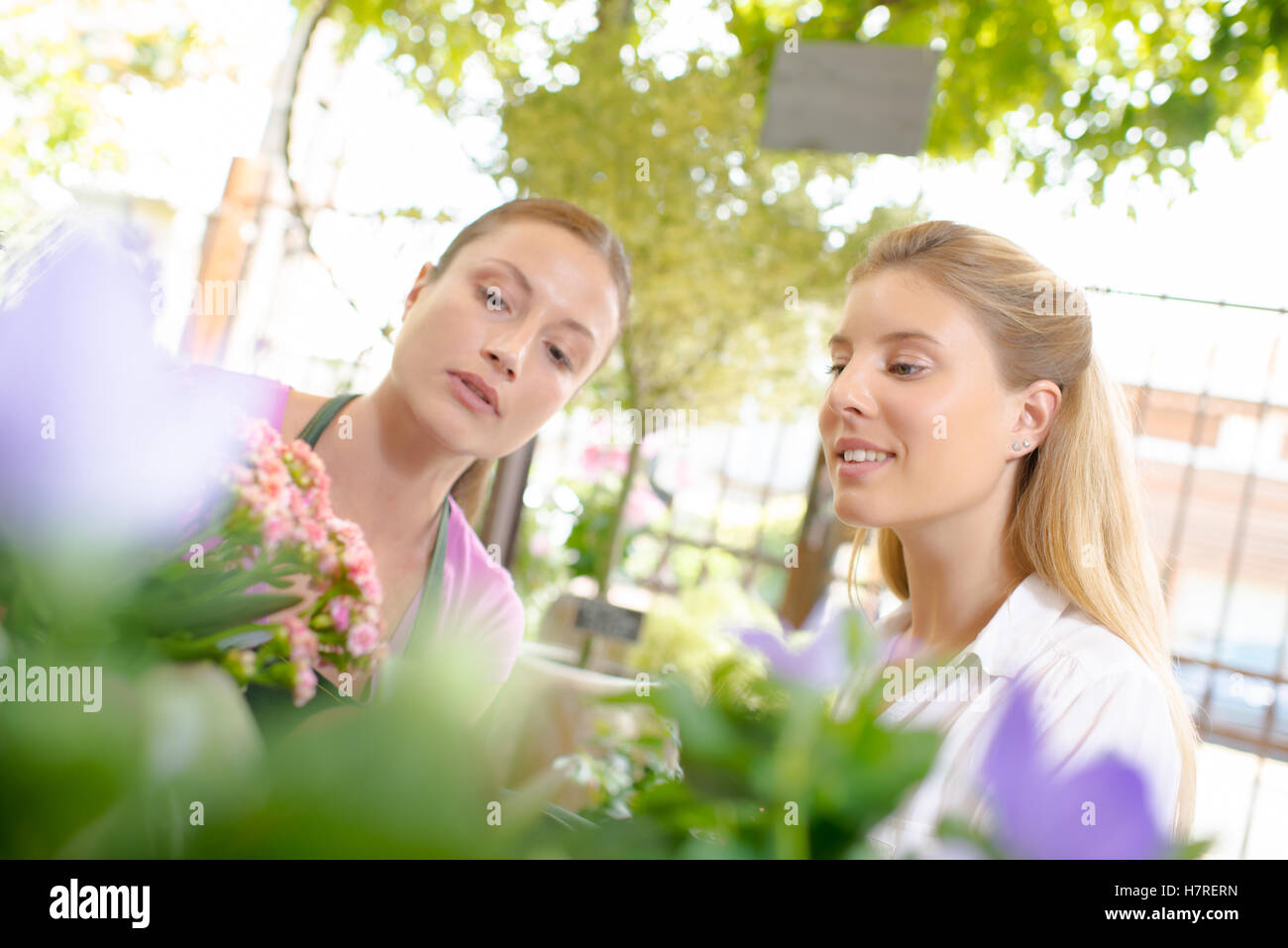 florist with customer Stock Photo Alamy