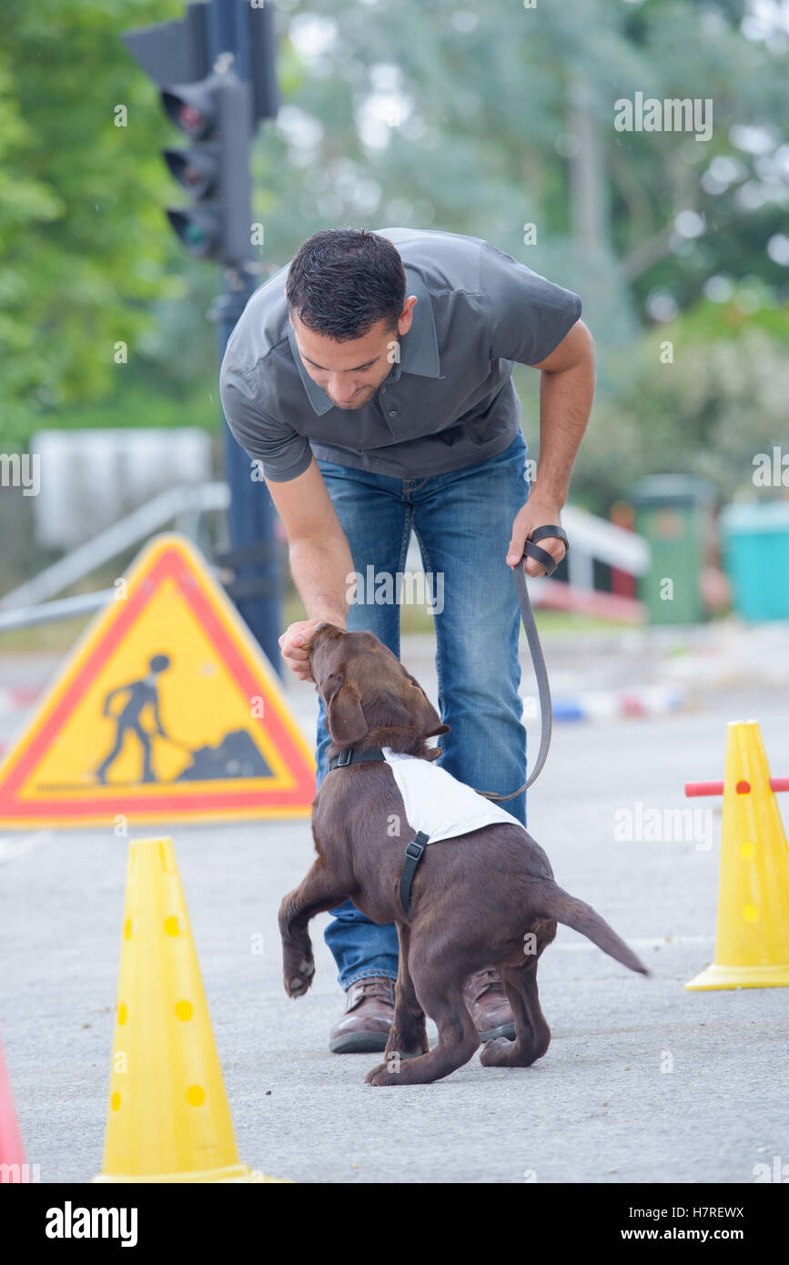 Dog handler giving dog a treat Stock Photo Alamy