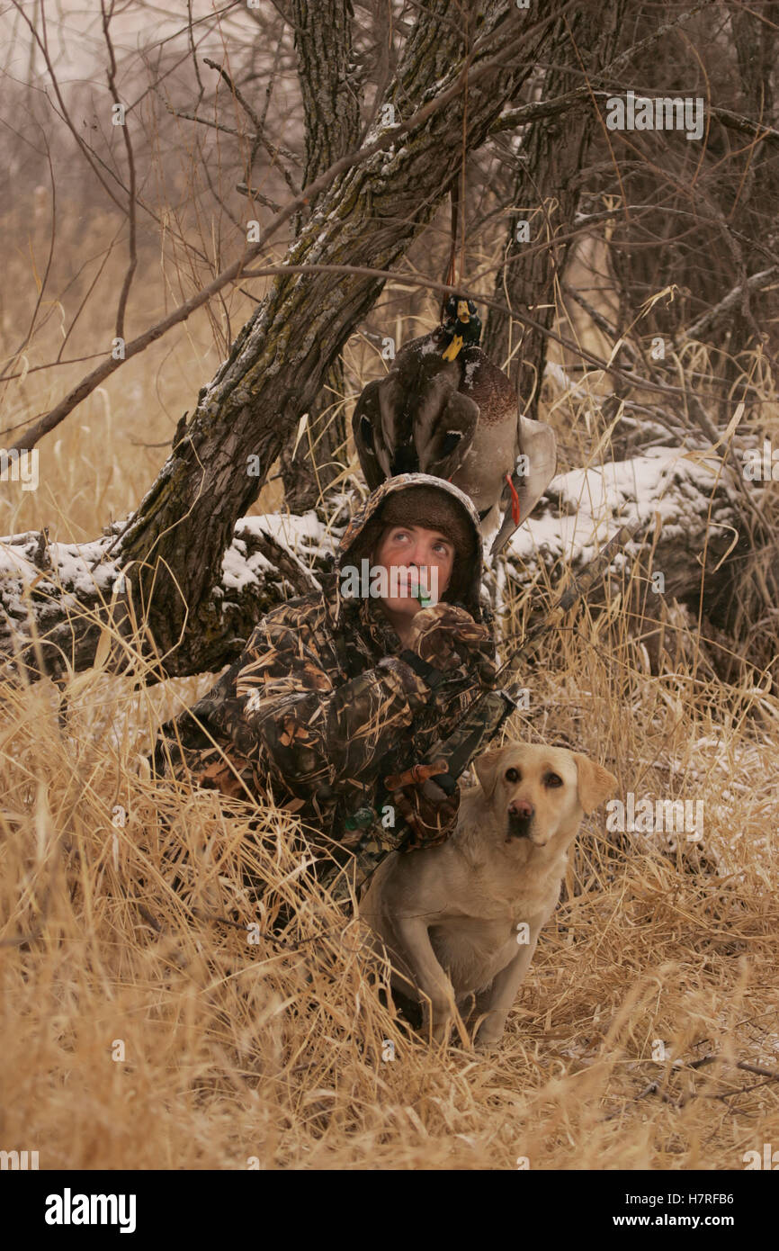 Hunter Ground Hunting With Yellow Rusty Lab Stock Photo