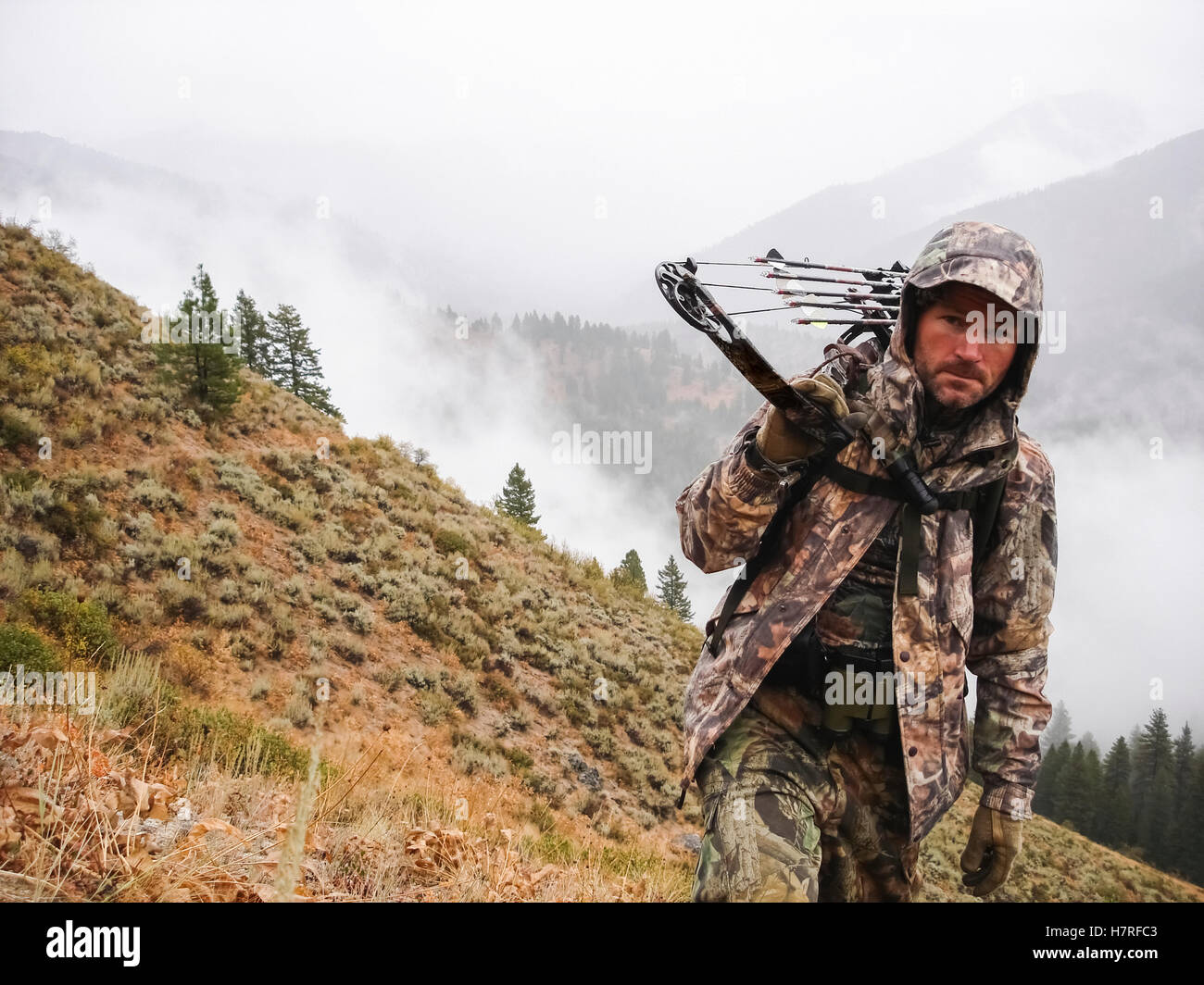 Bowhunter elk hunting in Mountains Stock Photo - Alamy