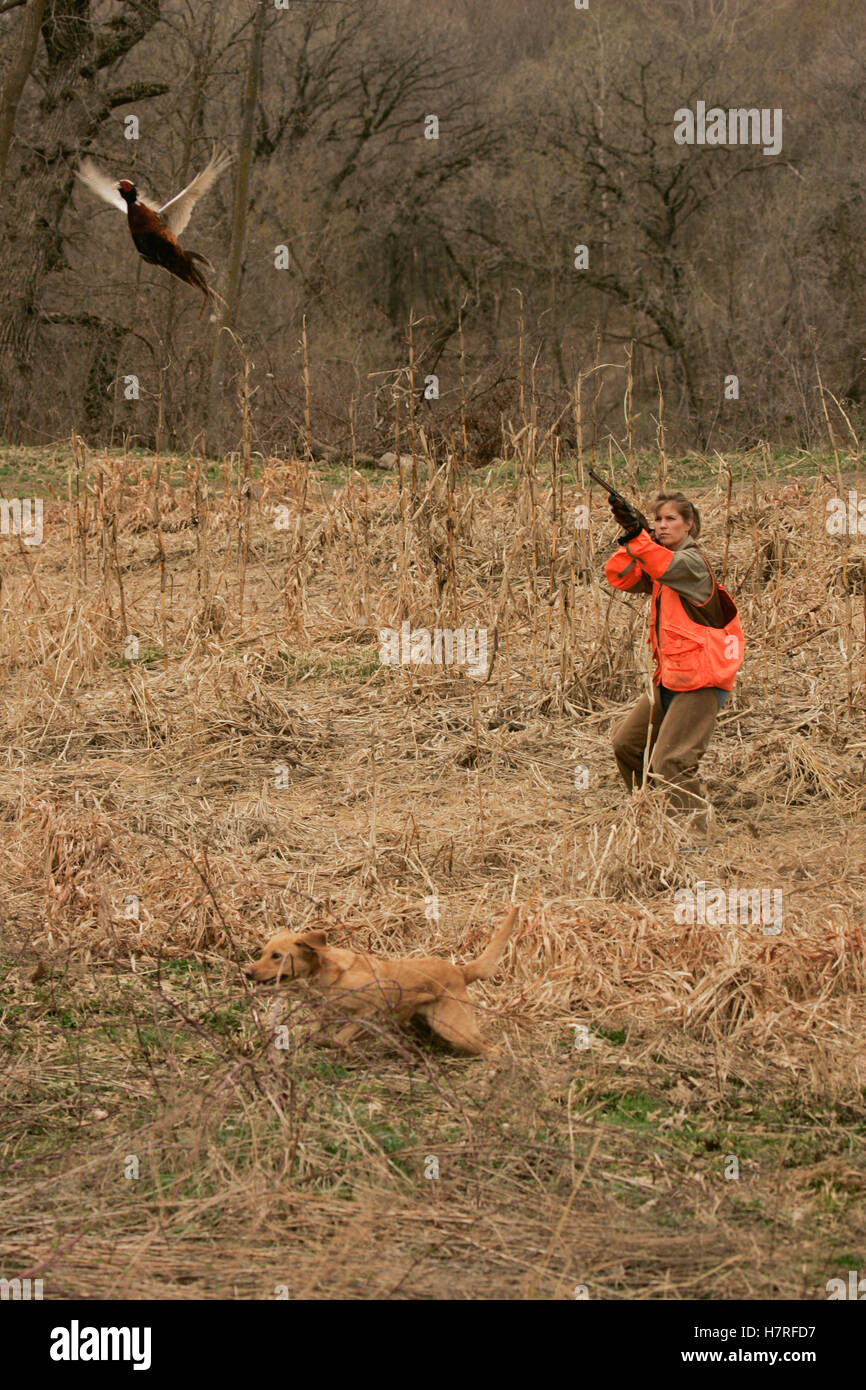 Female Upland Hunter Aiming At Pheasant Stock Photo