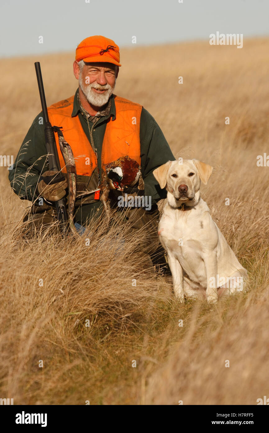 Pheasant Hunter With Yellow Lab In Field Stock Photo