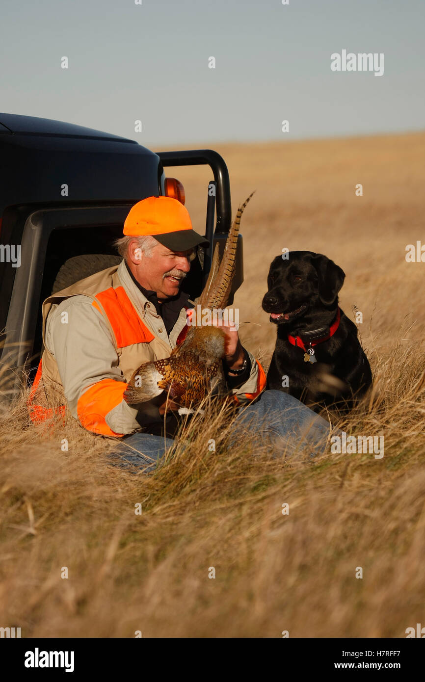Pheasant Hunter With Lab In Field Stock Photo Alamy