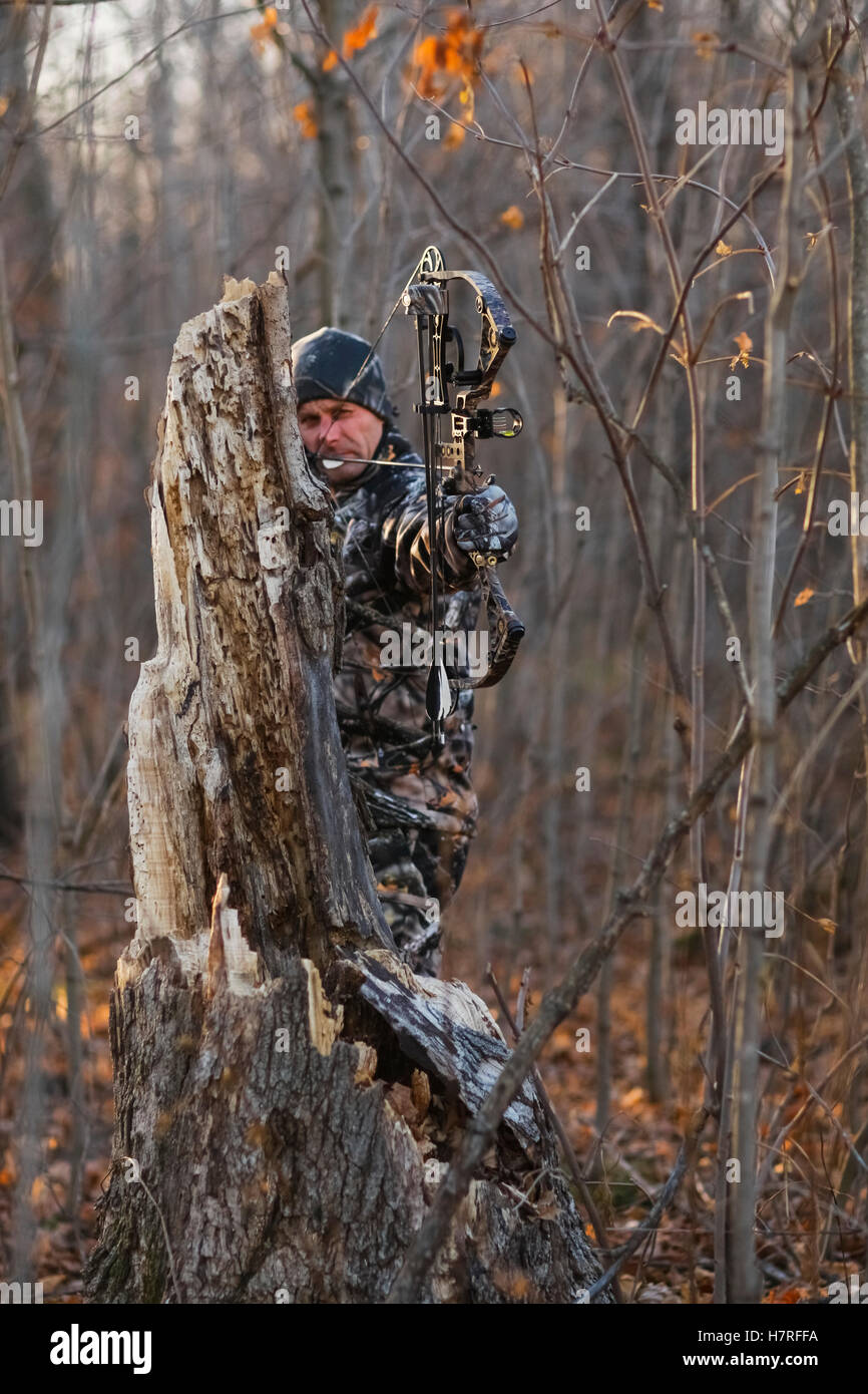 Bowhunter hunting whitetail deer Stock Photo