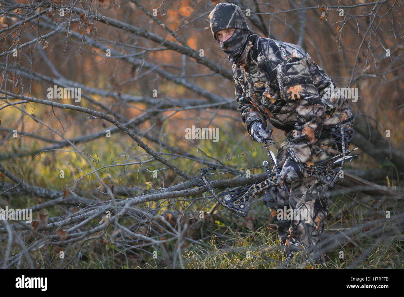 Hunter Ground Stalking Whitetail Deer Stock Photo