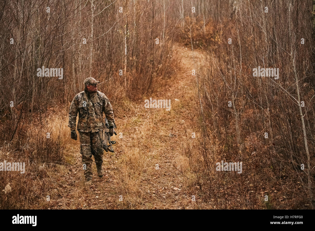 Bowhunter ground stalking turkey while walking on old logging trail Stock Photo